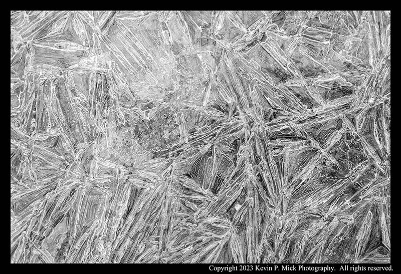 BW closeup photograph of ice crystals sheeting a small puddle.